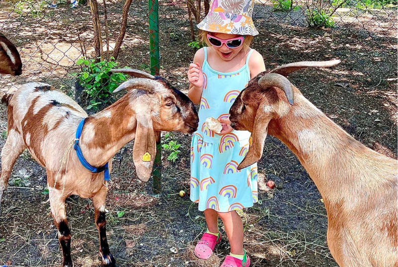 Półkolonie tematyczne Balooma Częstochowa